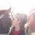 Stephanie Floerchinger Myers's profile image