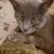 Sarah Bair's profile image