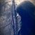 Diane ReGina's profile image