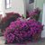 Karen Langehennig's profile image