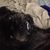Tammy Dressel Duval's profile image