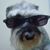 Evelyn Mack's profile image