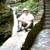 Stephen Najeway's profile image