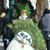 Brenda Grimm's profile image