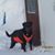 Debra Bartnick's profile image