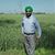 Raaj Singh's profile image
