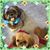Donna Antkowiak Woronec's profile image