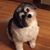 Ronnalee Mulkern's profile image