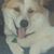 Suzanne Bennett's profile image