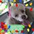 Julie Anderson's profile image