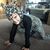 Sarah Reeves Williams's profile image