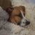 Catherine Ewert LaPage's profile image