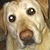 Brian St Onge's profile image