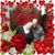 Keith Allen Rowe's profile image