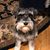Paulette Gagliardo's profile image
