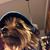 Sally Davis-Nitz's profile image