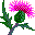 sandi f.'s profile image
