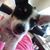 Tina Czuba's profile image