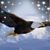 R.D. Lindsey's profile image