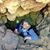 Teresa O'Connor's profile image