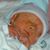Holly Kelley's profile image