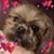 Vyncke Tana's profile image