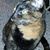 Julie Reuther Hermance's profile image