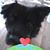 Jeannie Seiler's profile image