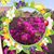 Kathleen McCraw's profile image