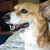Lori Mitchell's profile image