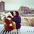 Mary Burkholder's profile image