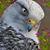 Jose Chavez's profile image