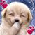 Terry King's profile image