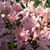 Terri Herget's profile image