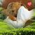 Sally FitzPatrick's profile image