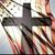 Andrea Haupt Billings's profile image