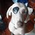 Kurt Oberle's profile image