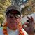 Lee Downing's profile image