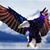Tom E Hall's profile image