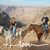 Marsha Schott's profile image