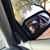 Terri Petasek's profile image