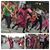 Zakiyyah Abdullah Muhammad-Durham's profile image