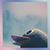 Jean Beaudoin's profile image