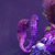 Nancy Harrison Gorton's profile image