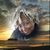 Doris Evans's profile image