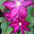 Claudia Robinson's profile image