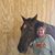 Arlene Talman's profile image