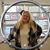 Kelly Call's profile image