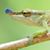 Susan Brown-Cole's profile image