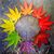 Sandy Grasser's profile image